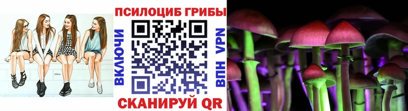 Псилоцибиновые грибы Psilocybine cubensis  Богородицк 